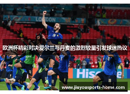 欧洲杯精彩对决爱尔兰与丹麦的激烈较量引发球迷热议