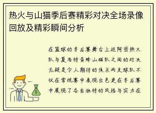 热火与山猫季后赛精彩对决全场录像回放及精彩瞬间分析